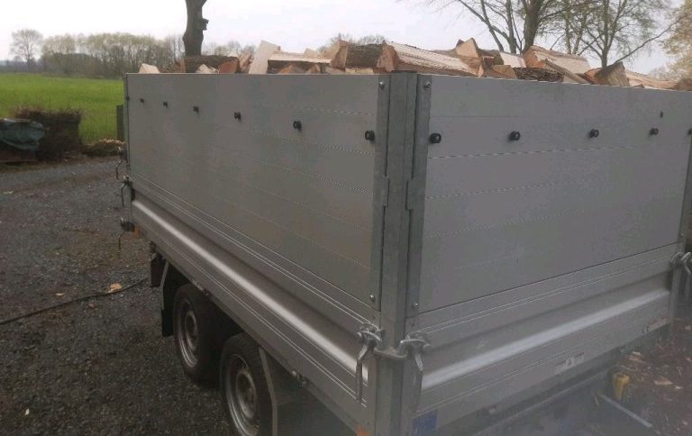 Holzladung 4 SRM Anhänger mit holz beladen